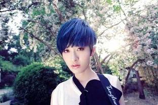 曾轶可最新爆料汇总,揭秘娱乐圈不为人知的秘密